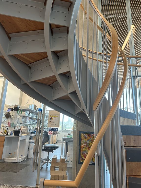 Phil and Penny Knight Campus for Accelerating Scientific Impact at the University of Oregon under stair view